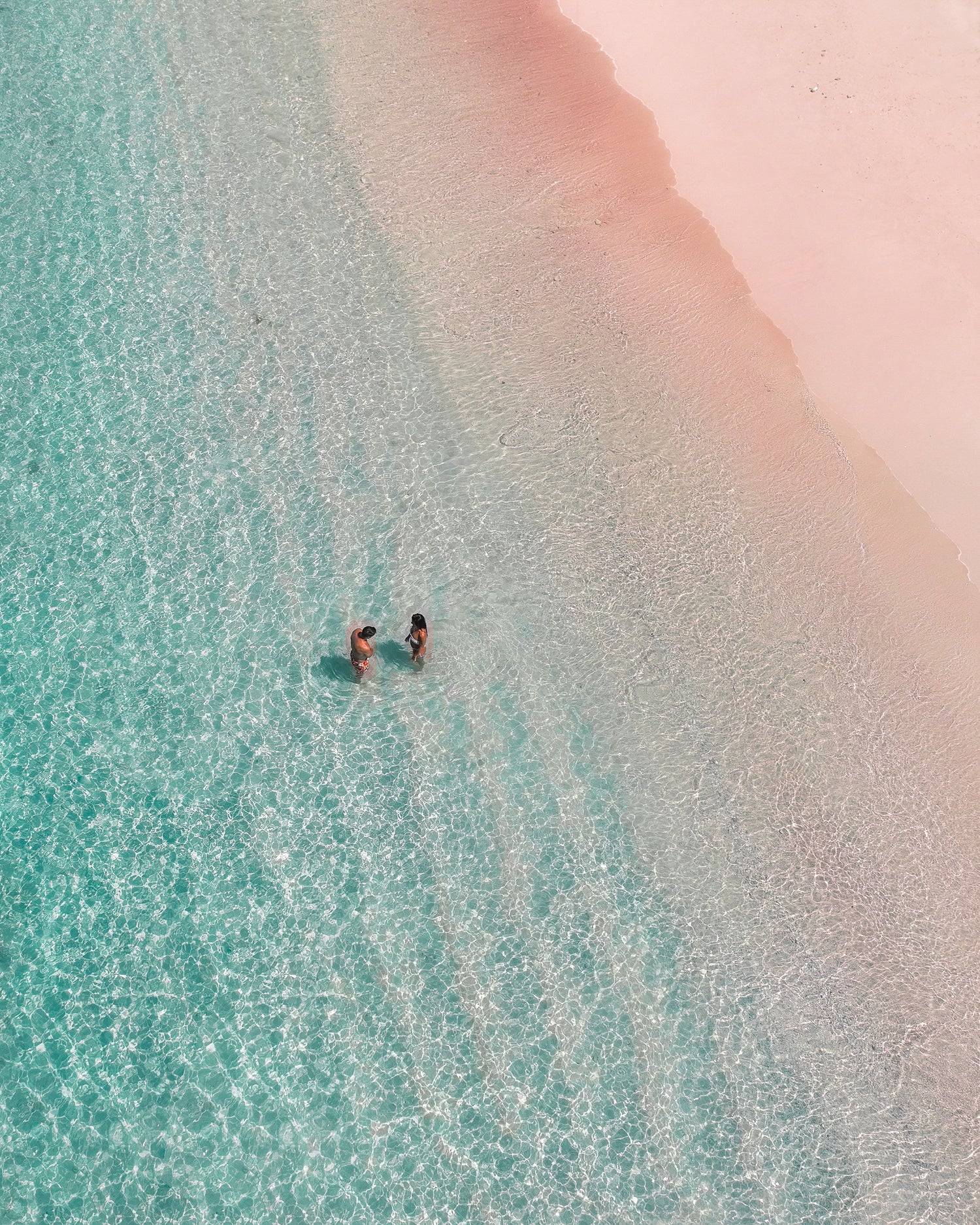 Image with text section