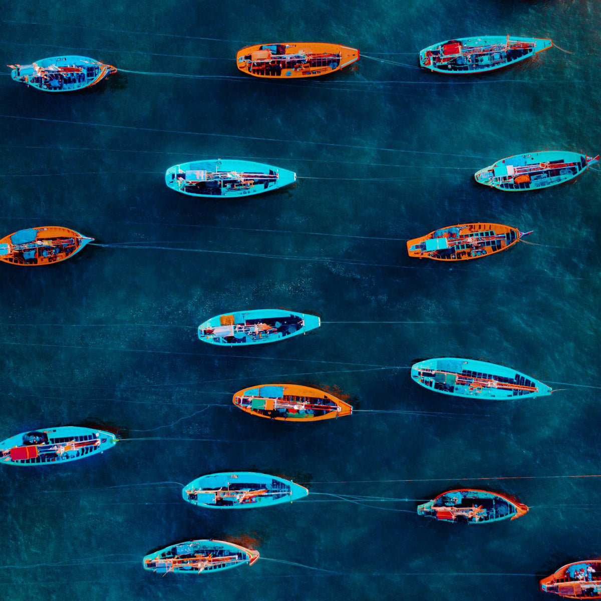 From Bali to East Java: a journey through two worlds