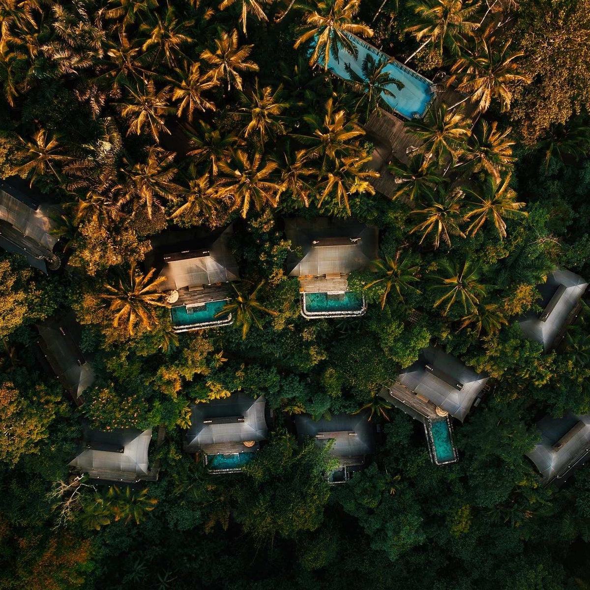 Authentic Bali: an immersion into the heart of the island of Gods