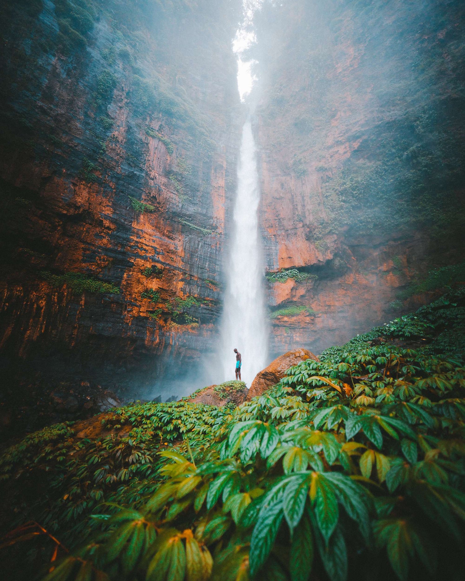 Image with text section