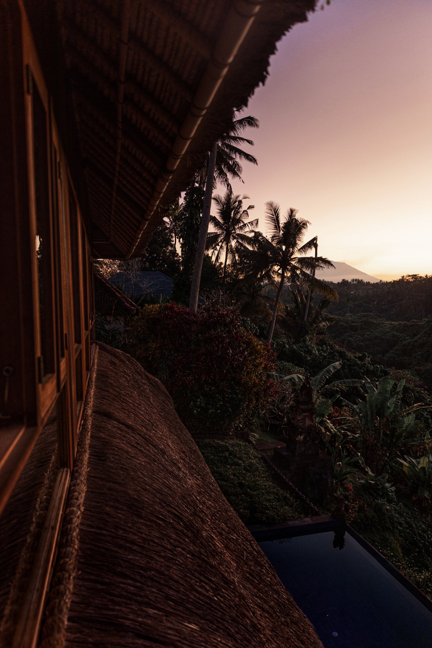 Image with text section