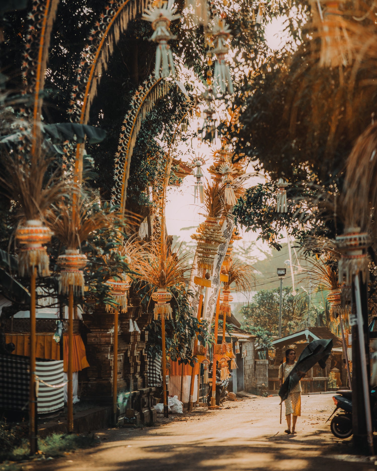 Image with text section