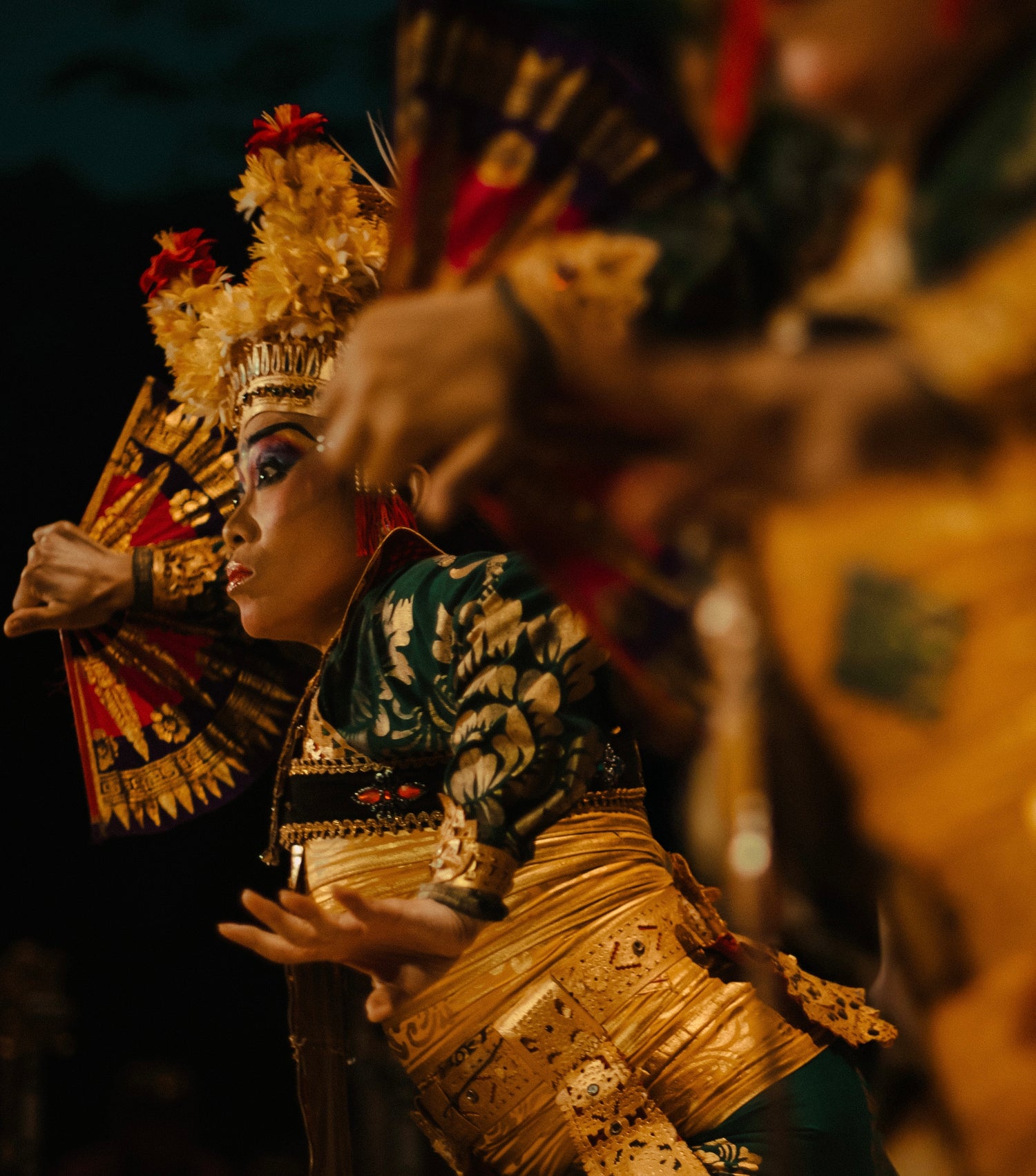 Image with text section