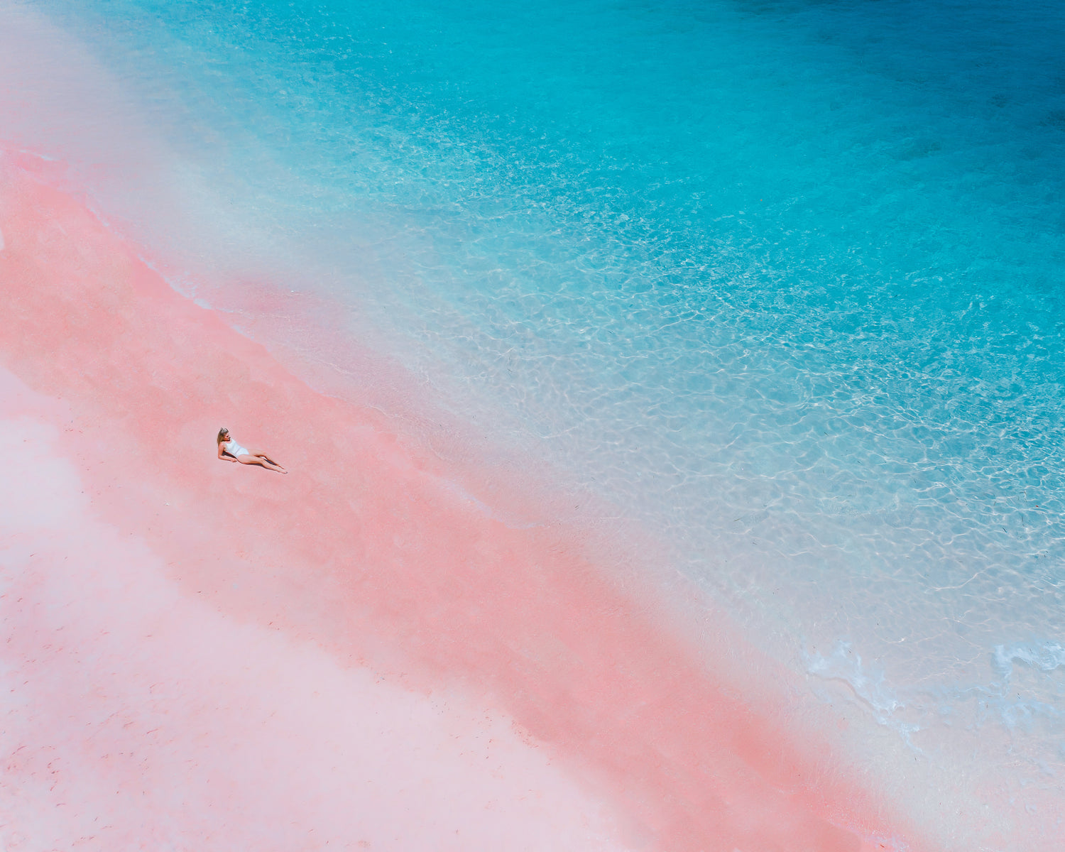 Image with text section