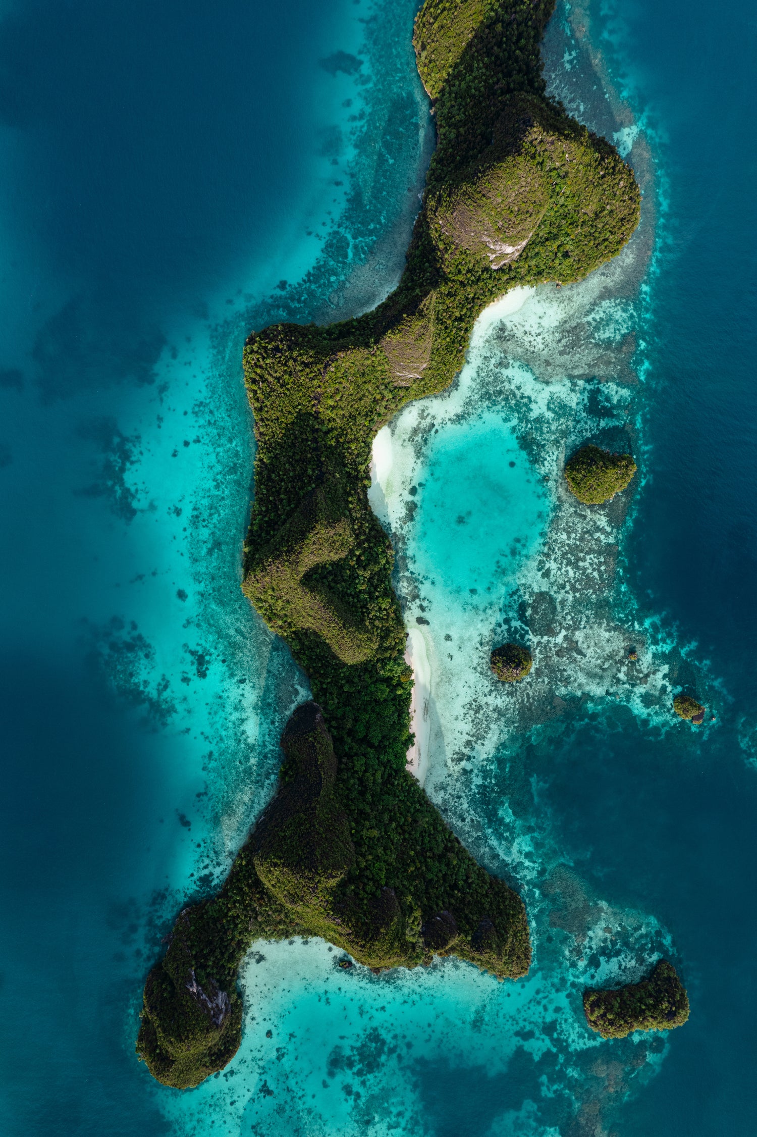 Image with text section