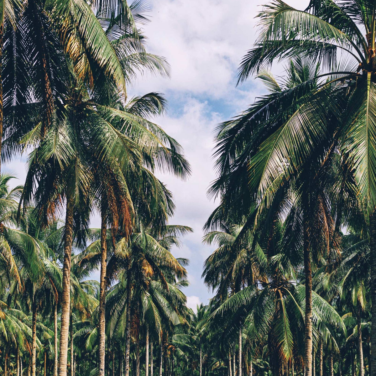 From Bali to East Java: a journey through two worlds