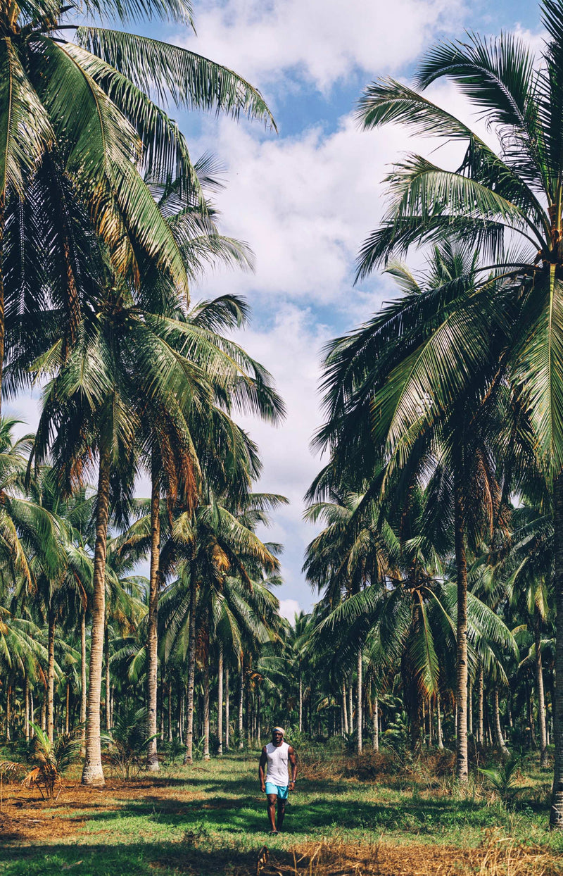 From Bali to East Java: a journey through two worlds