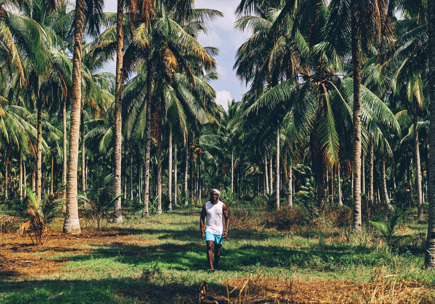 Image with text section