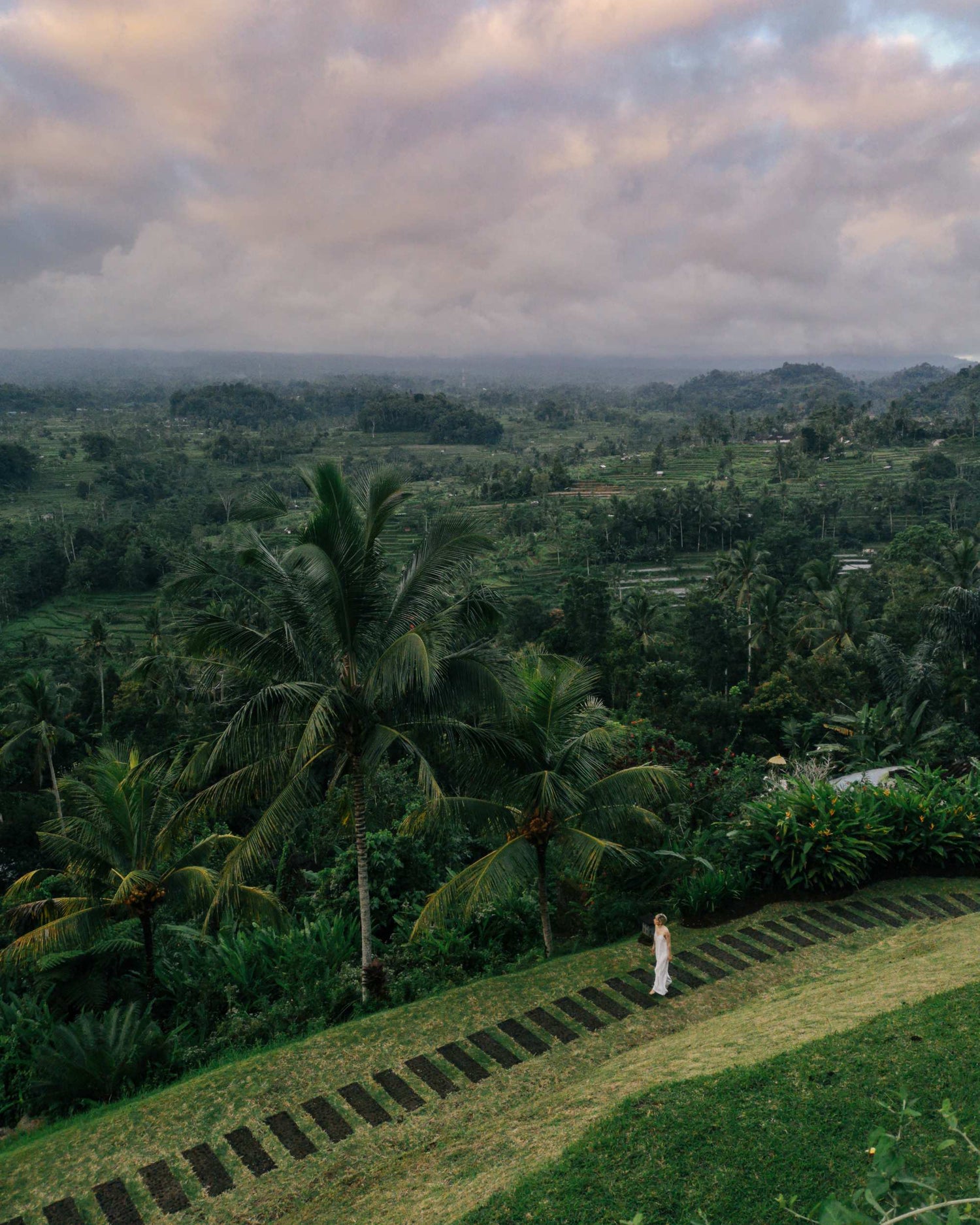 Dynamic Bali: a journey of energy, nature, and discovery
