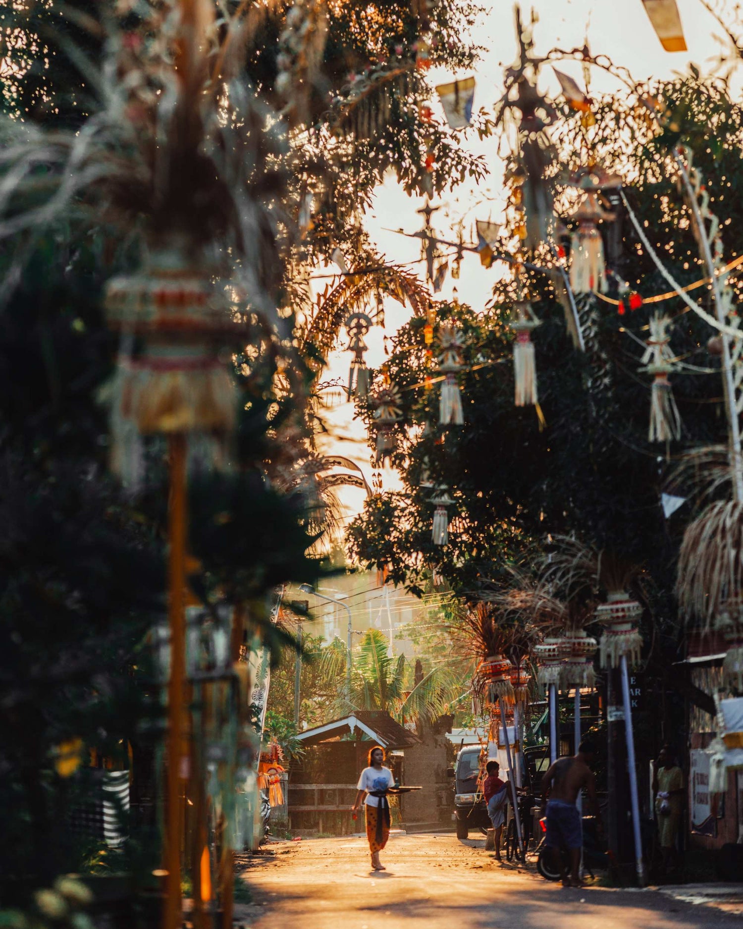 Image with text section