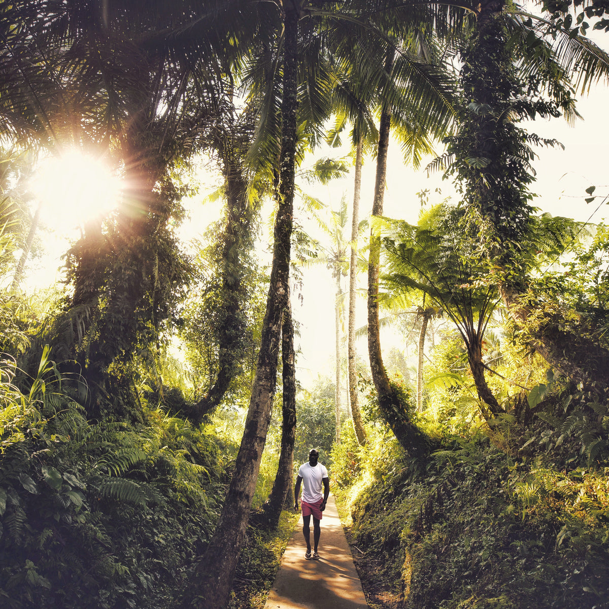 Dynamic Bali: a journey of energy, nature, and discovery