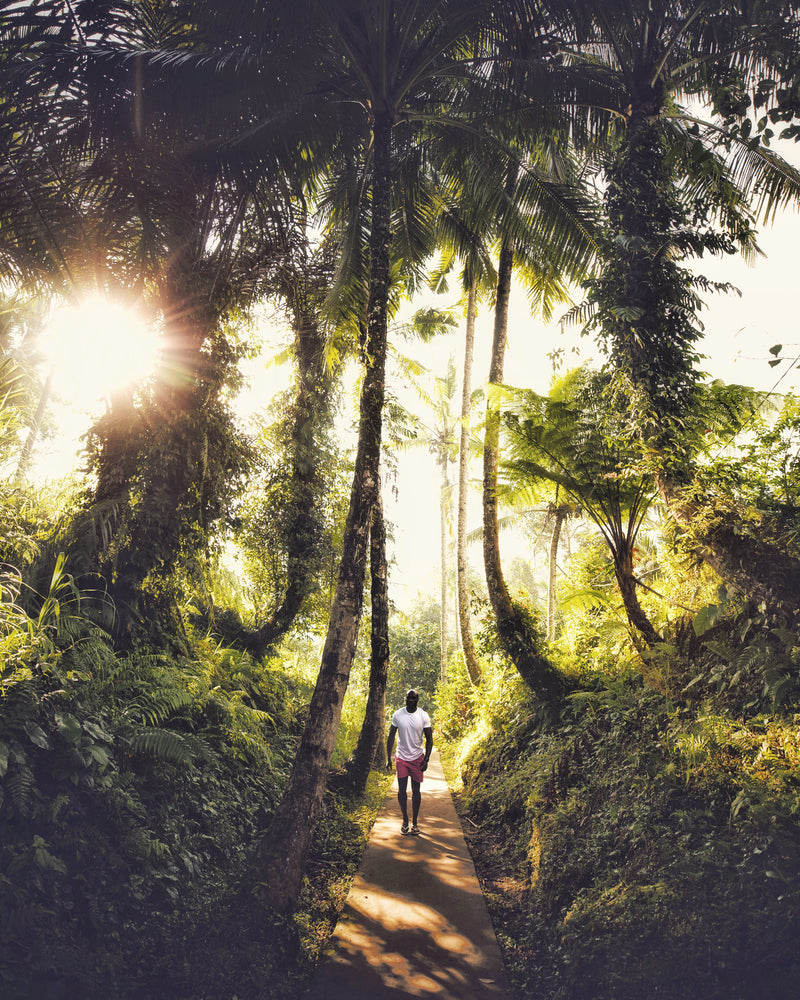 Dynamic Bali: a journey of energy, nature, and discovery