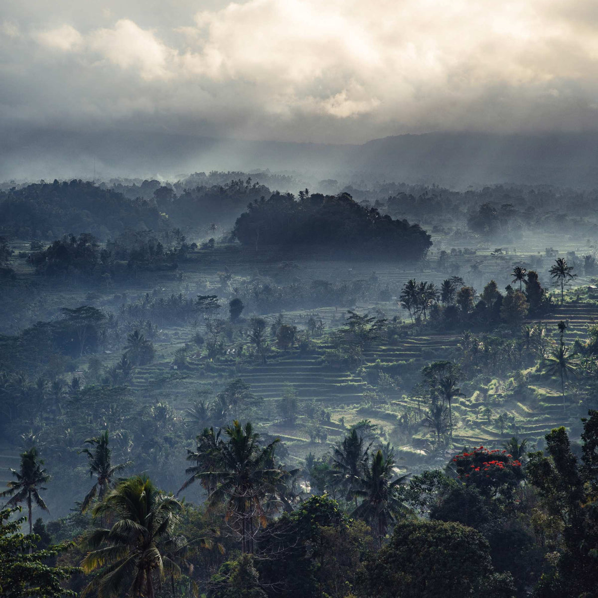 Authentic Bali: an immersion into the heart of the island of Gods