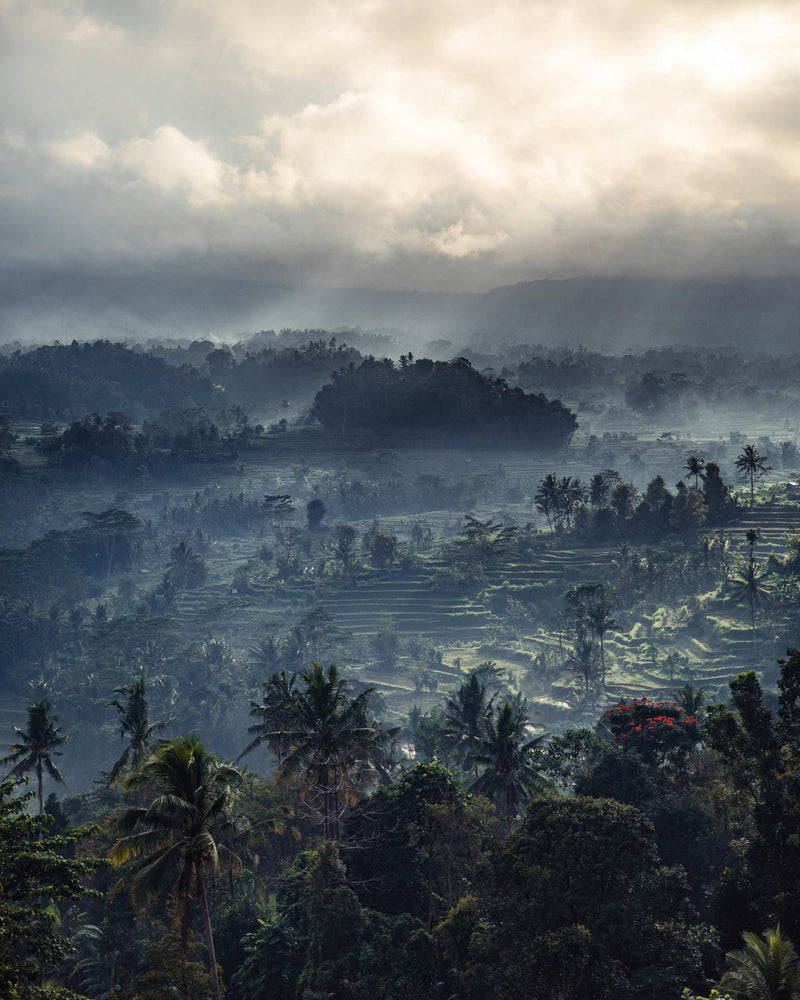 Authentic Bali: an immersion into the heart of the island of Gods