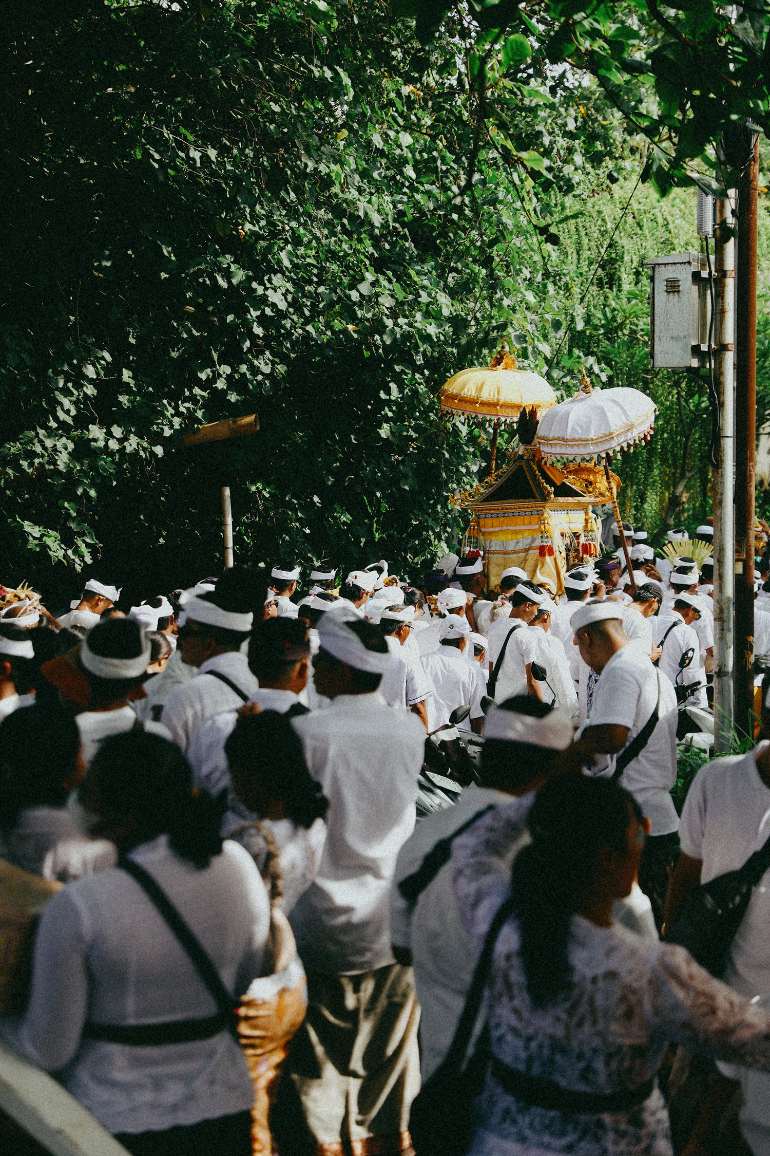 Image with text section