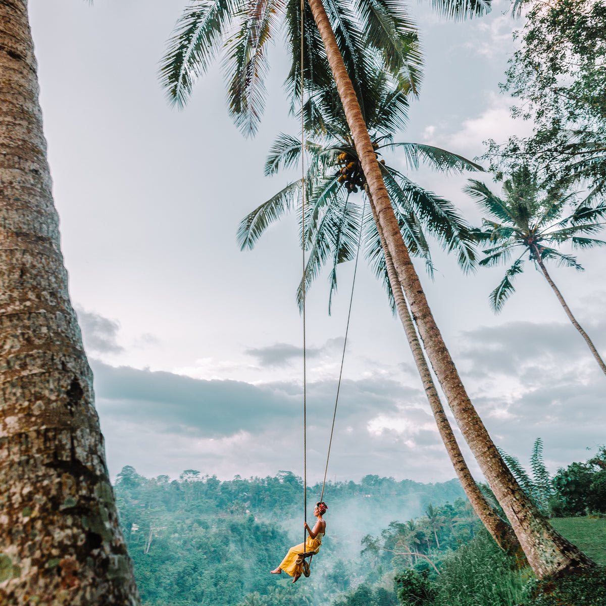 Dynamic Bali: a journey of energy, nature, and discovery