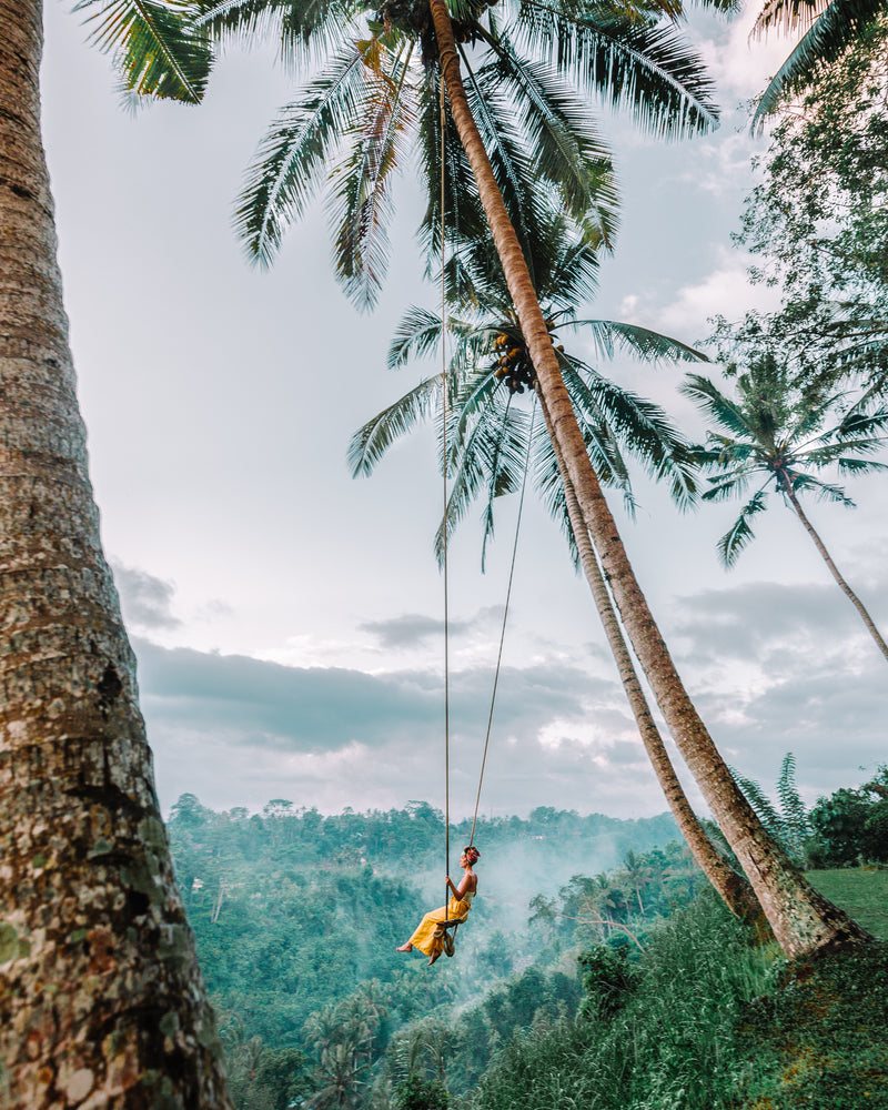 Dynamic Bali: a journey of energy, nature, and discovery